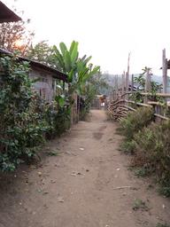 Cliquez pour agrandir l'image