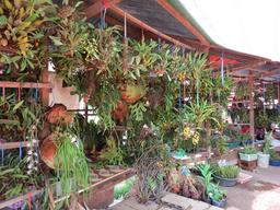 Cliquez pour agrandir l'image