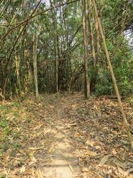 Cliquez pour agrandir l'image