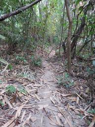 Cliquez pour agrandir l'image