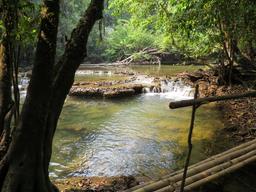 Cliquez pour agrandir l'image