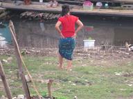 Cliquez pour agrandir l'image