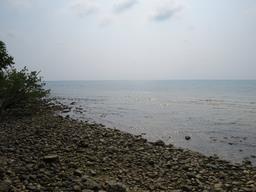 Cliquez pour agrandir l'image