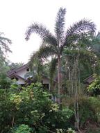 Cliquez pour agrandir l'image