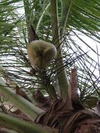 Cliquez pour agrandir l'image