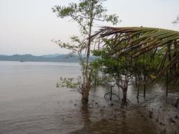 Cliquez pour agrandir l'image