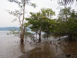 Cliquez pour agrandir l'image