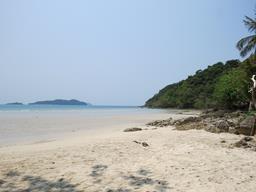 Cliquez pour agrandir l'image