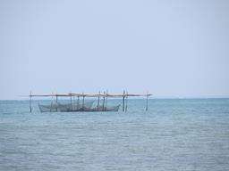 Cliquez pour agrandir l'image