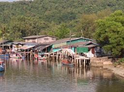 Cliquez pour agrandir l'image