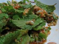 Cliquez pour agrandir l'image Cliquez pour agrandir l'image