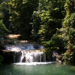 Cliquez pour agrandir l'image