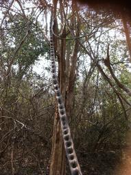 Cliquez pour agrandir l'image