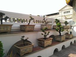 Cliquez pour agrandir l'image