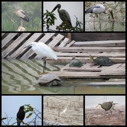 Cliquez pour agrandir l'image