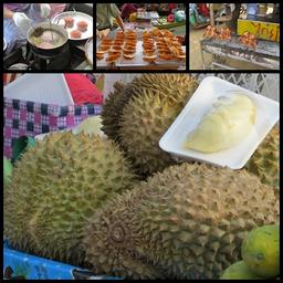 Cliquez pour agrandir l'image