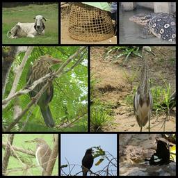 Cliquez pour agrandir l'image