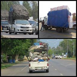 Cliquez pour agrandir l'image