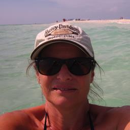 Cliquez pour agrandir l'image