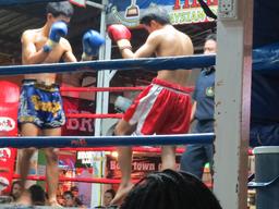 Cliquez pour agrandir l'image