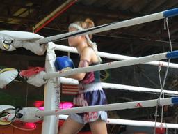 Cliquez pour agrandir l'image