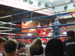 Cliquez pour agrandir l'image