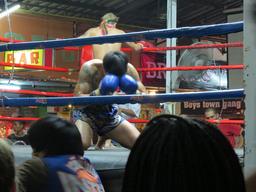 Cliquez pour agrandir l'image