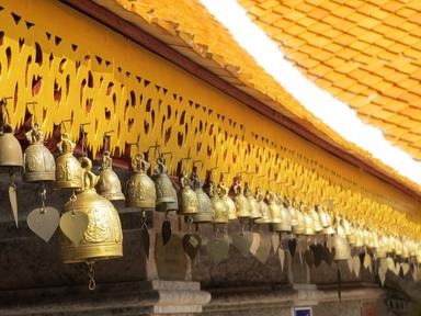 Cliquez pour agrandir l'image