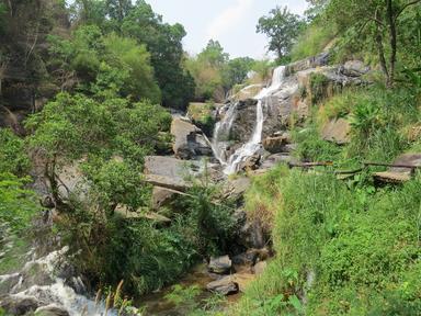 Cliquez pour agrandir l'image