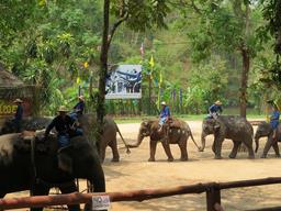 Cliquez pour agrandir l'image