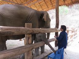 Cliquez pour agrandir l'image