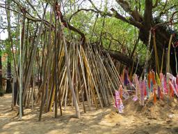 Cliquez pour agrandir l'image Cliquez pour agrandir l'image