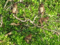 Cliquez pour agrandir l'image