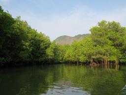 Cliquez pour agrandir l'image