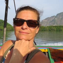 Cliquez pour agrandir l'image