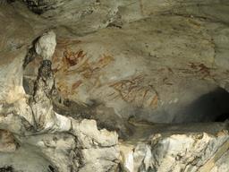 Cliquez pour agrandir l'image Cliquez pour agrandir l'image