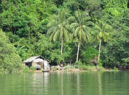 Cliquez pour agrandir l'image