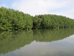 Cliquez pour agrandir l'image