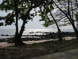 Cliquez pour agrandir l'image