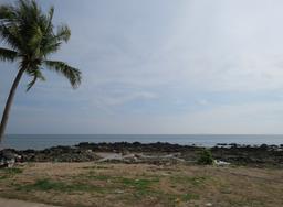 Cliquez pour agrandir l'image