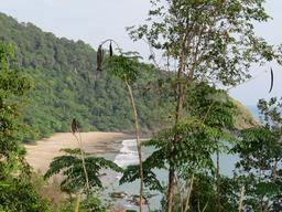 Cliquez pour agrandir l'image