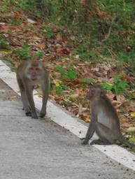 Cliquez pour agrandir l'image