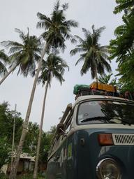 Cliquez pour agrandir l'image