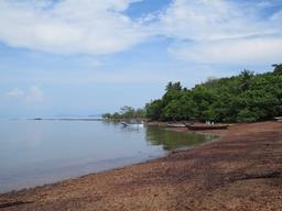 Cliquez pour agrandir l'image