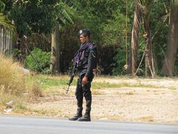 Cliquez pour agrandir l'image