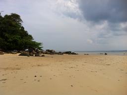 Cliquez pour agrandir l'image