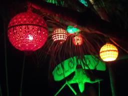 Cliquez pour agrandir l'image