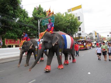 Cliquez pour agrandir l'image