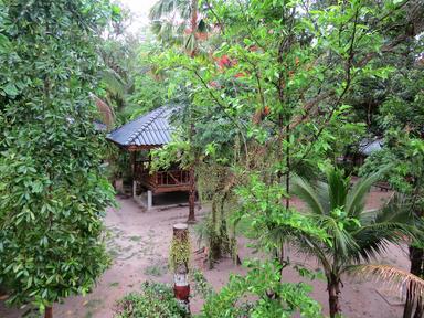 Cliquez pour agrandir l'image