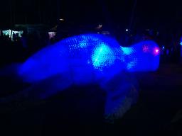 Cliquez pour agrandir l'image Cliquez pour agrandir l'image